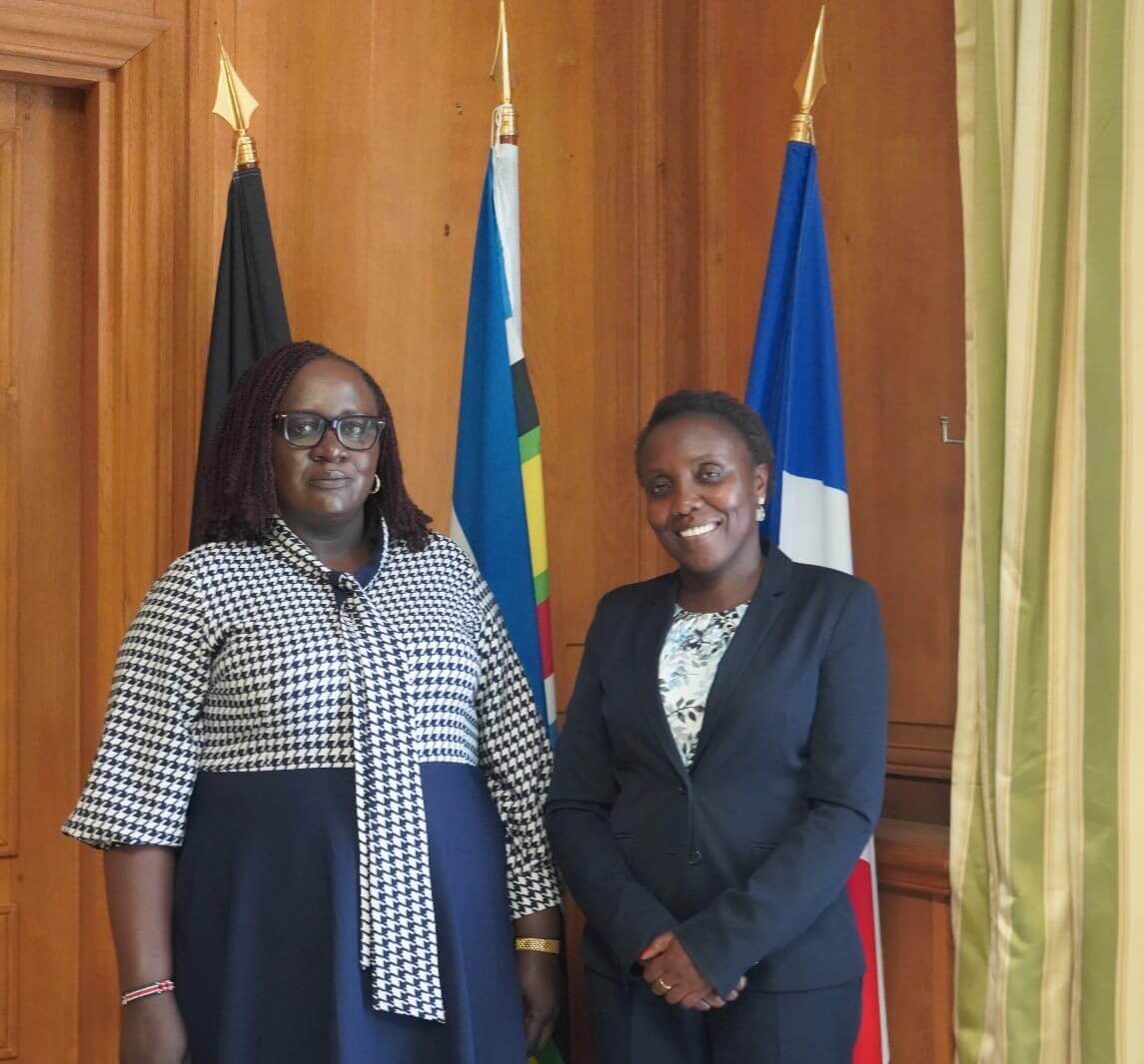 WELCOMING OF THE  DEPUTY HEAD OF MISSION